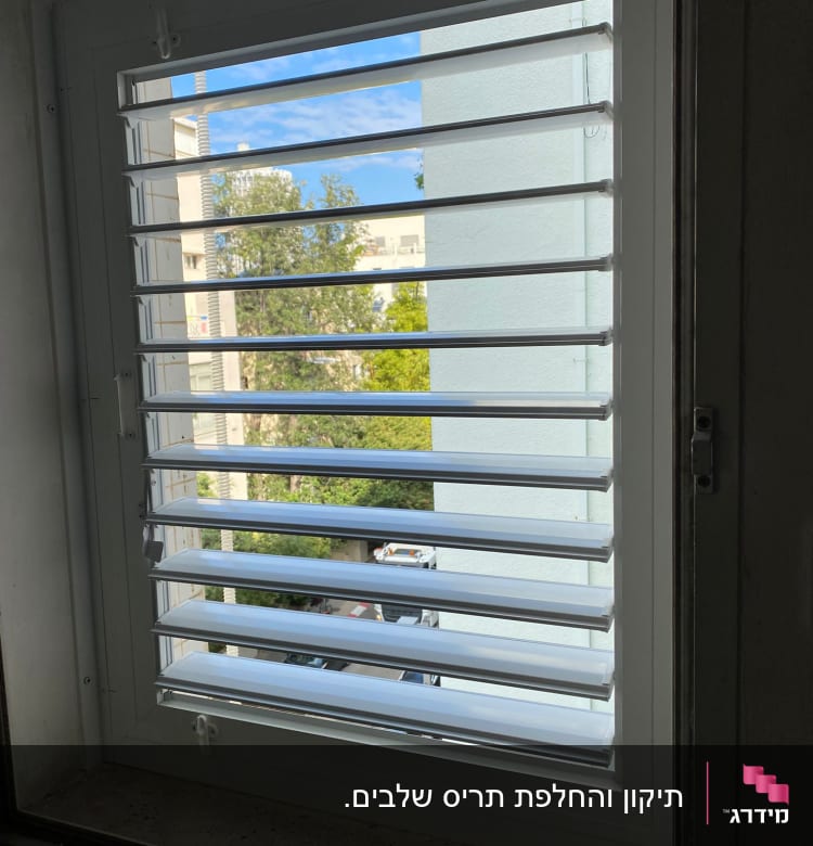 תריסים לבנים פתוחים בחלון עם נוף חיצוני